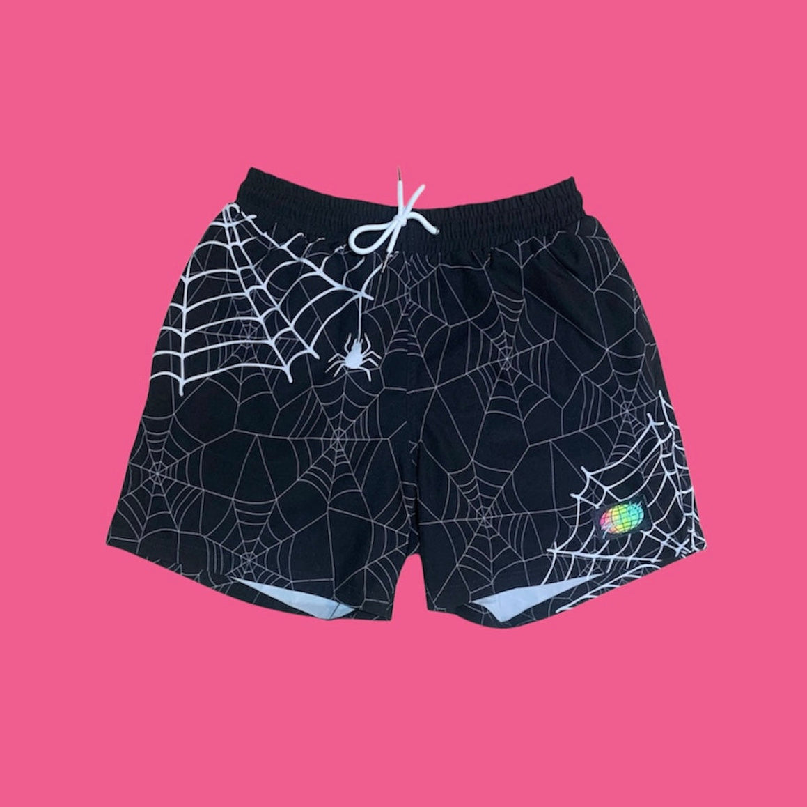 SPIDER WEBS