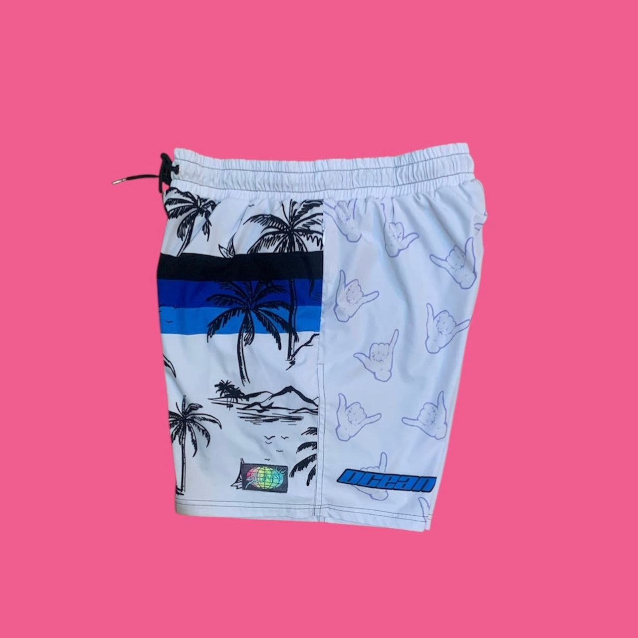 OBV PALMS