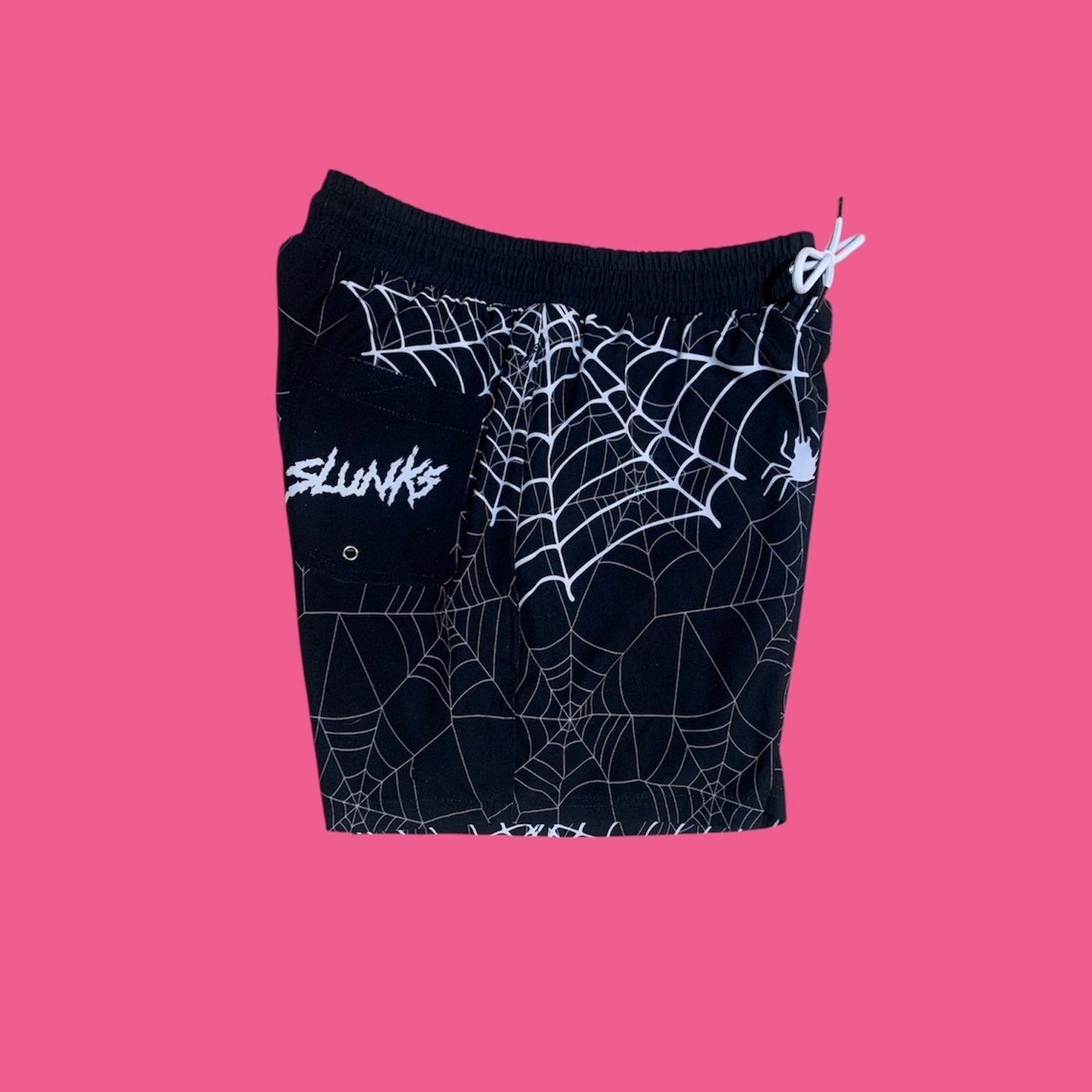 SPIDER WEBS