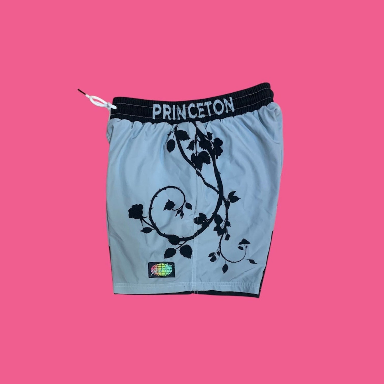 #PRINCETON PVC