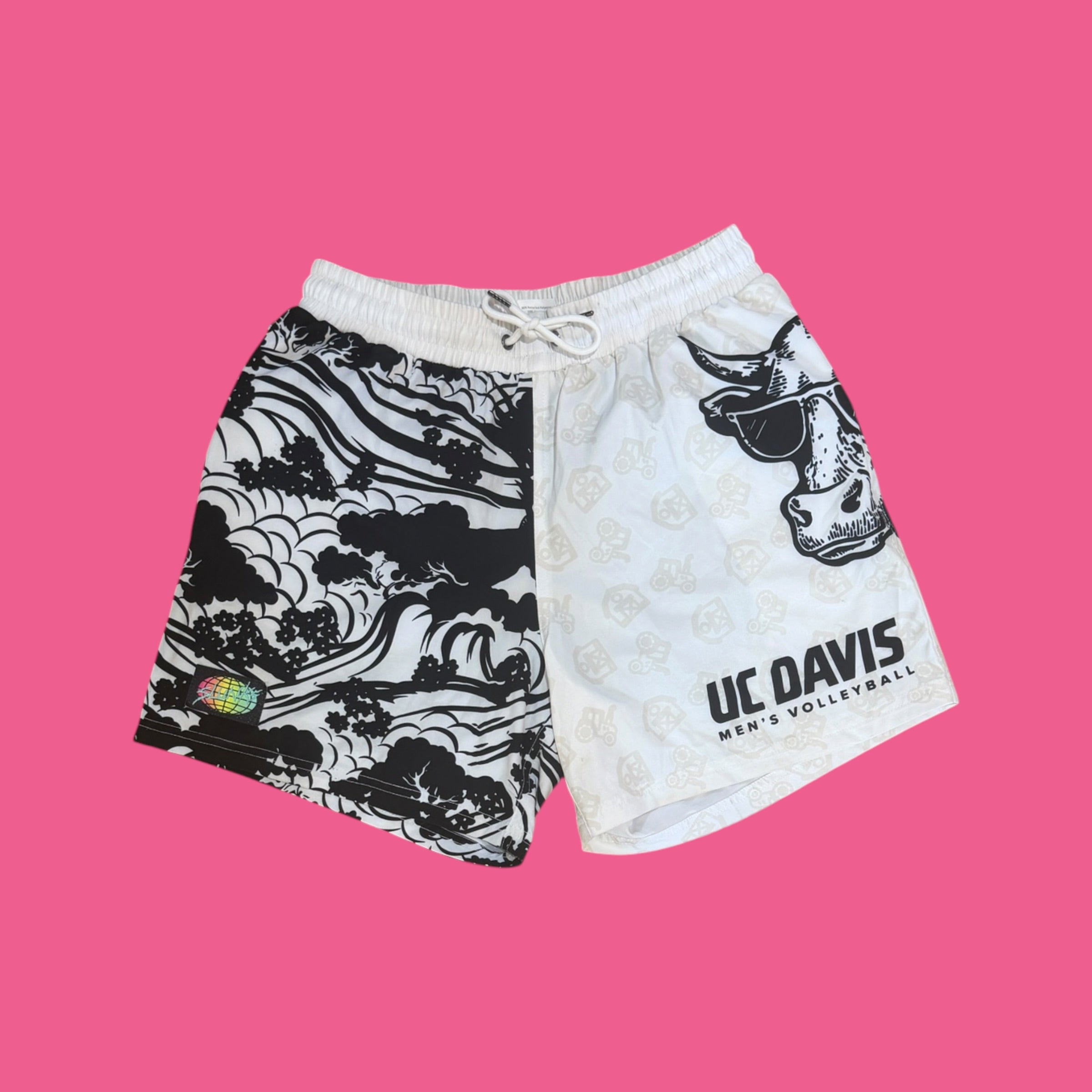 UC DAVIS V2 WHITE