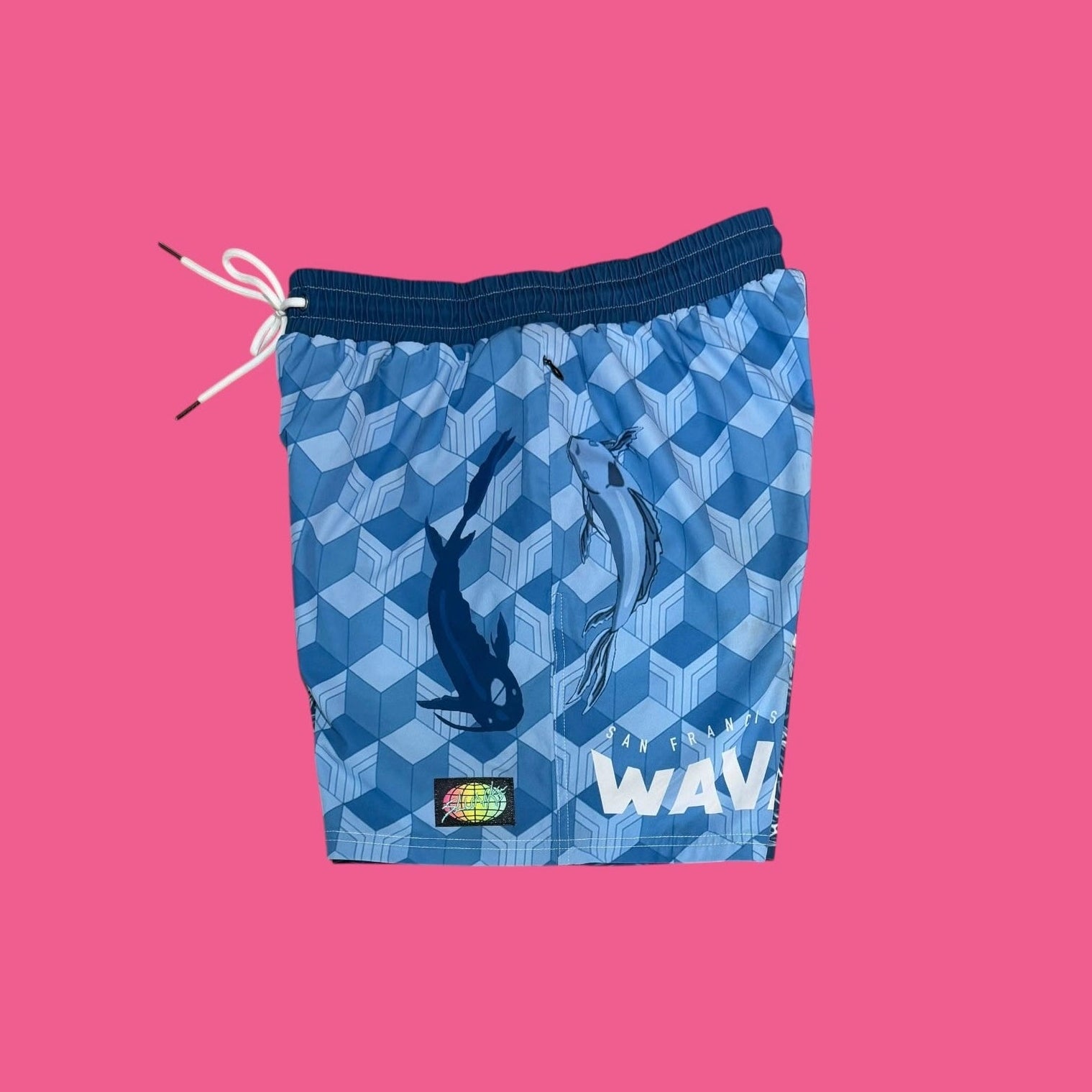 SF WAVE