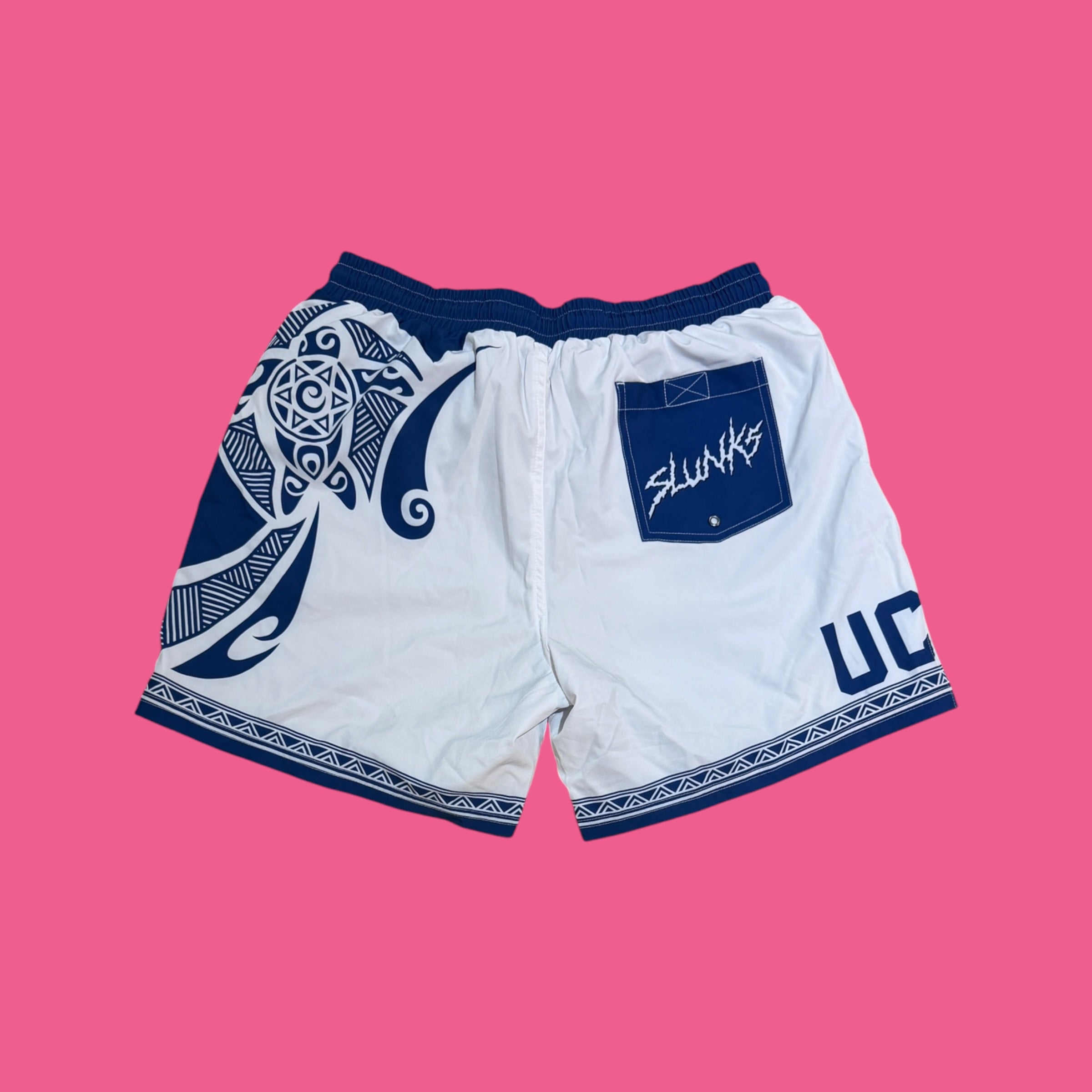UCSB V3