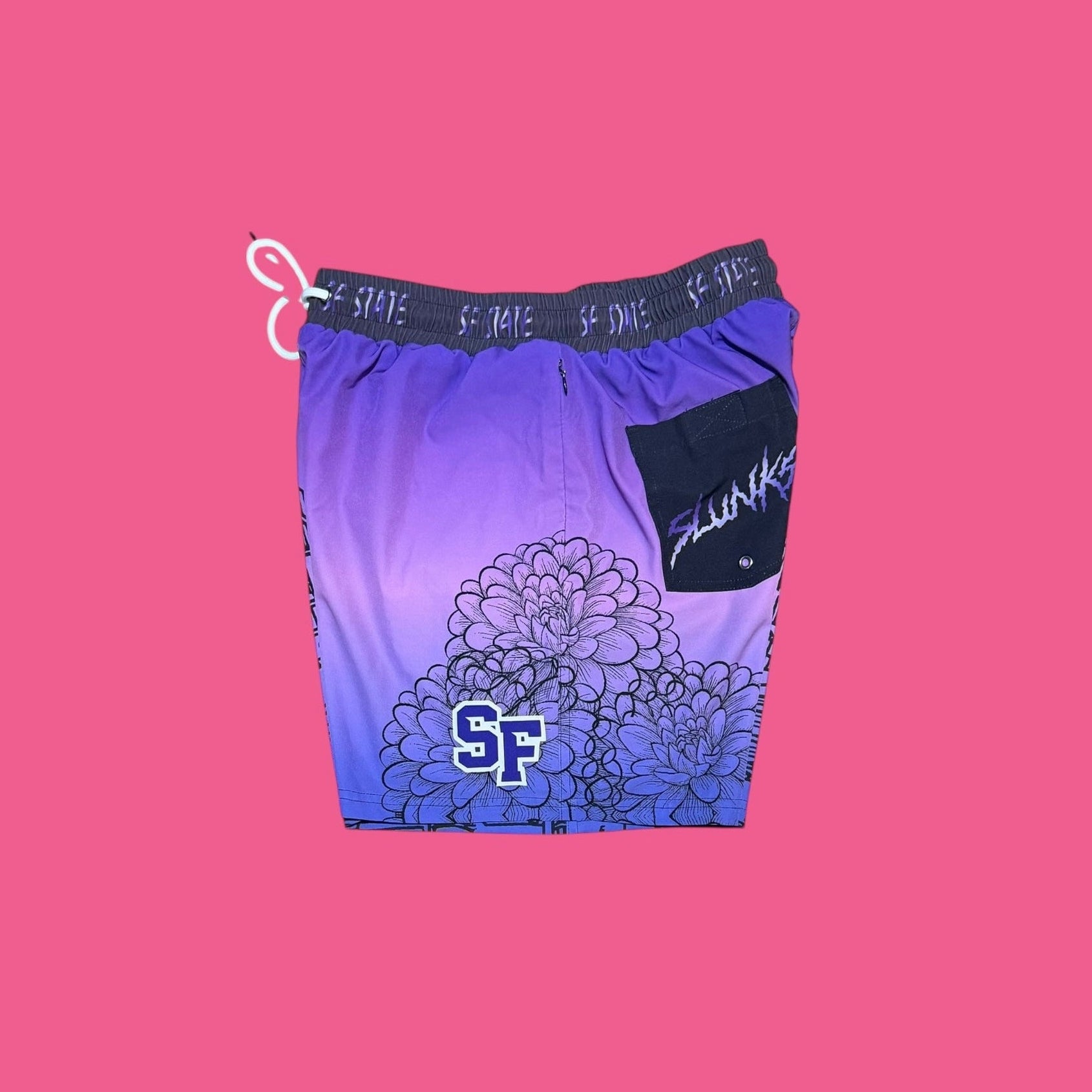 SFSU V2