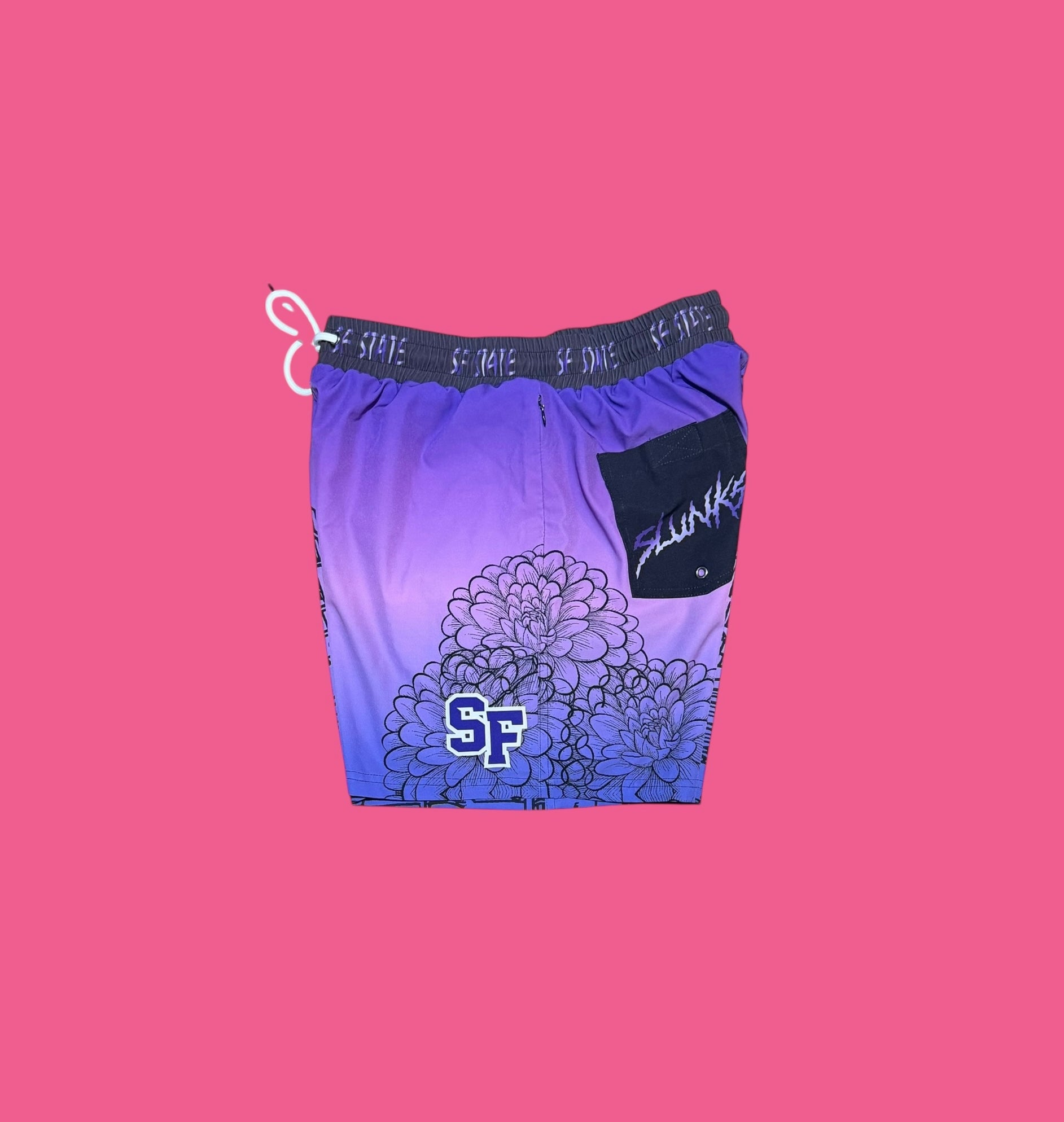 #SFSU V2