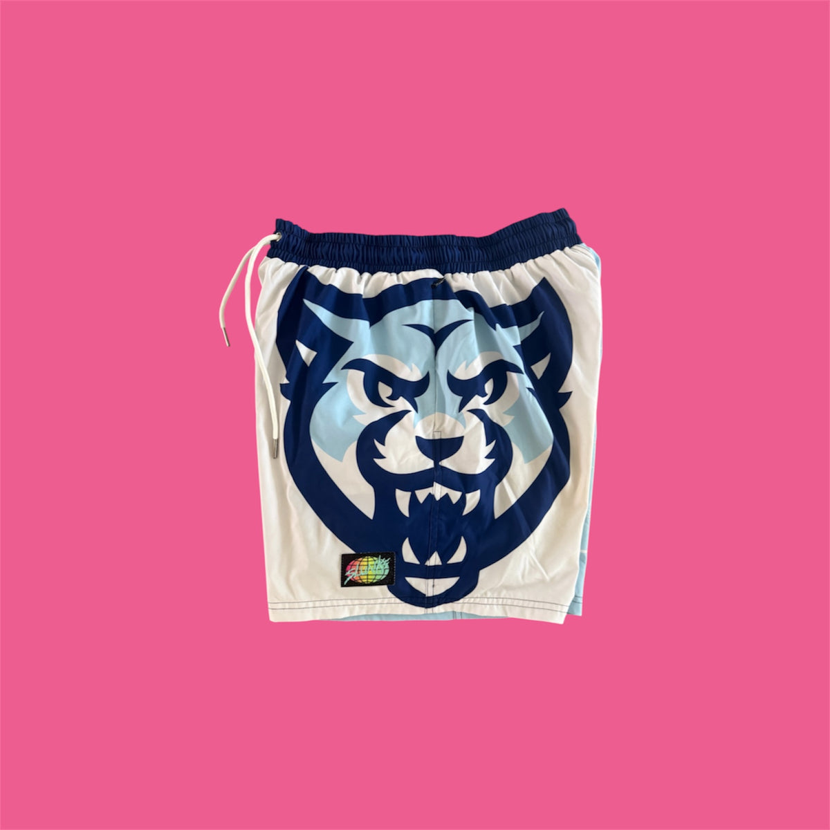 MVNU COUGARS