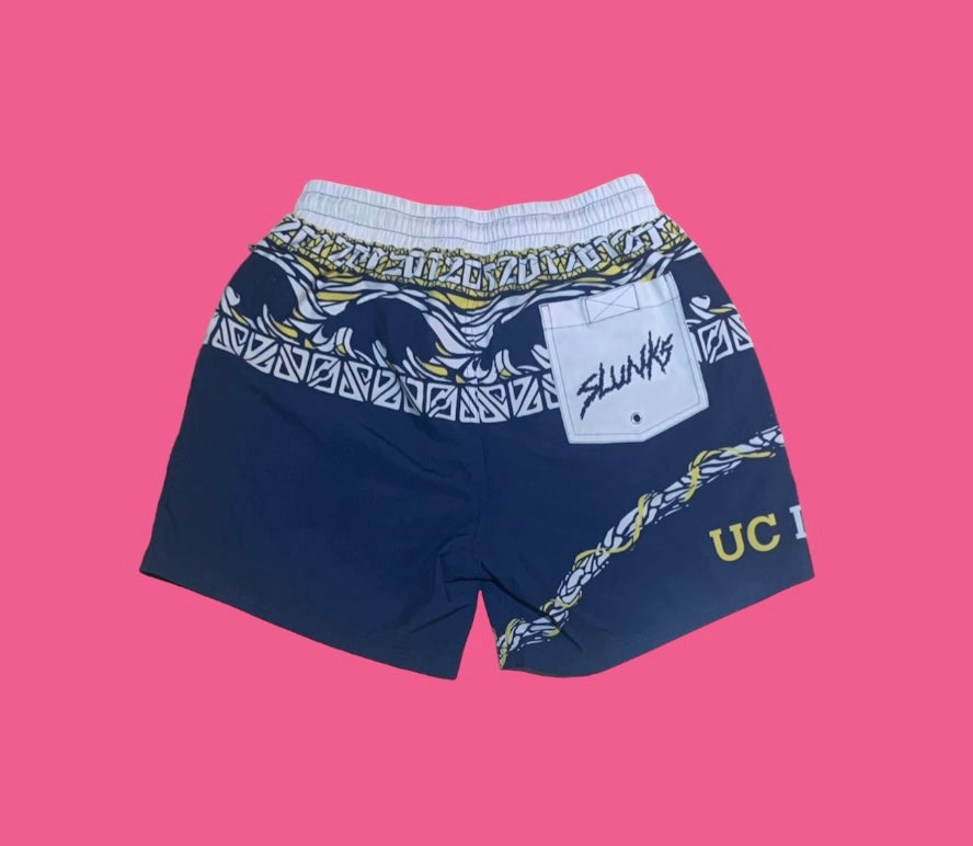 #UC IRVINE V1