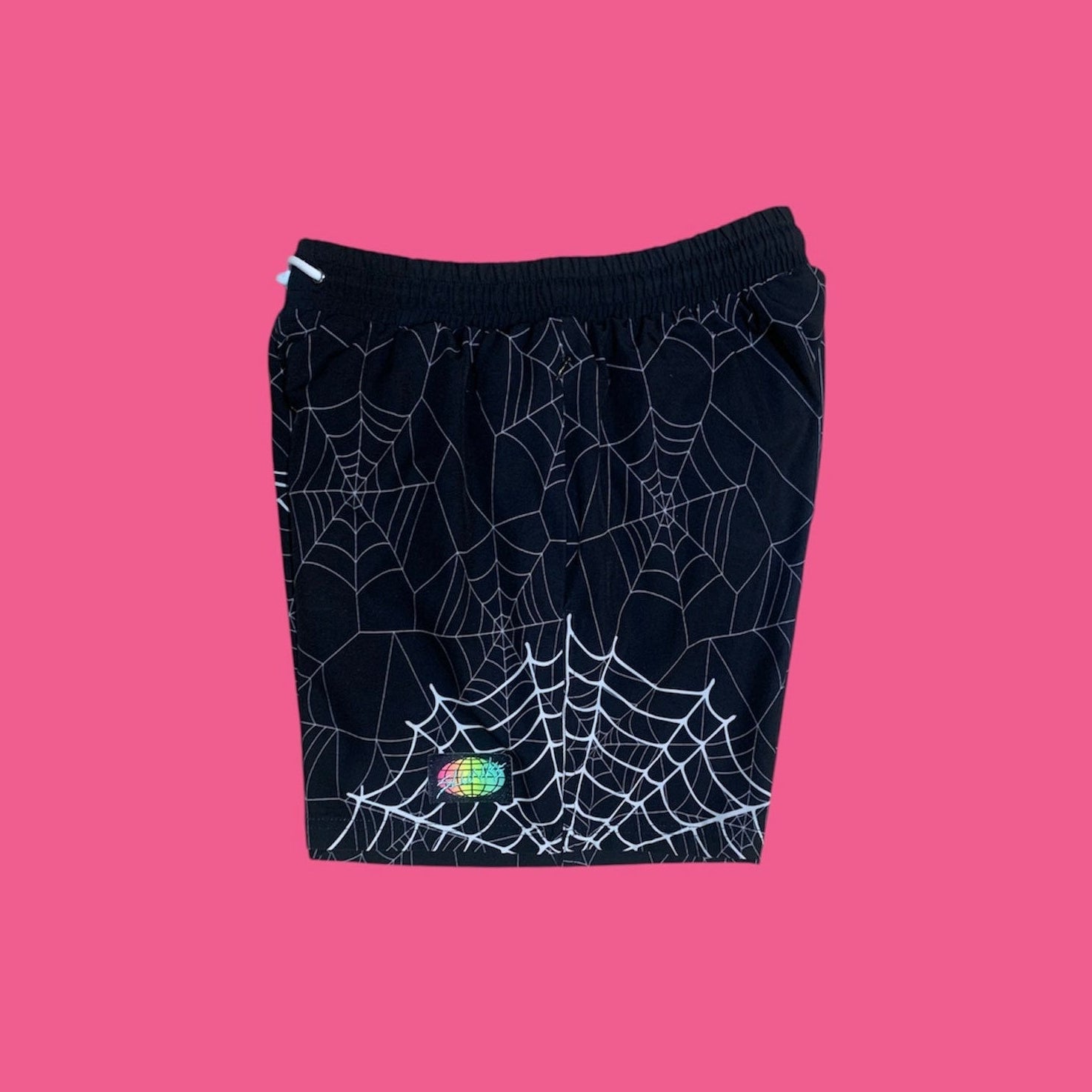 SPIDER WEBS