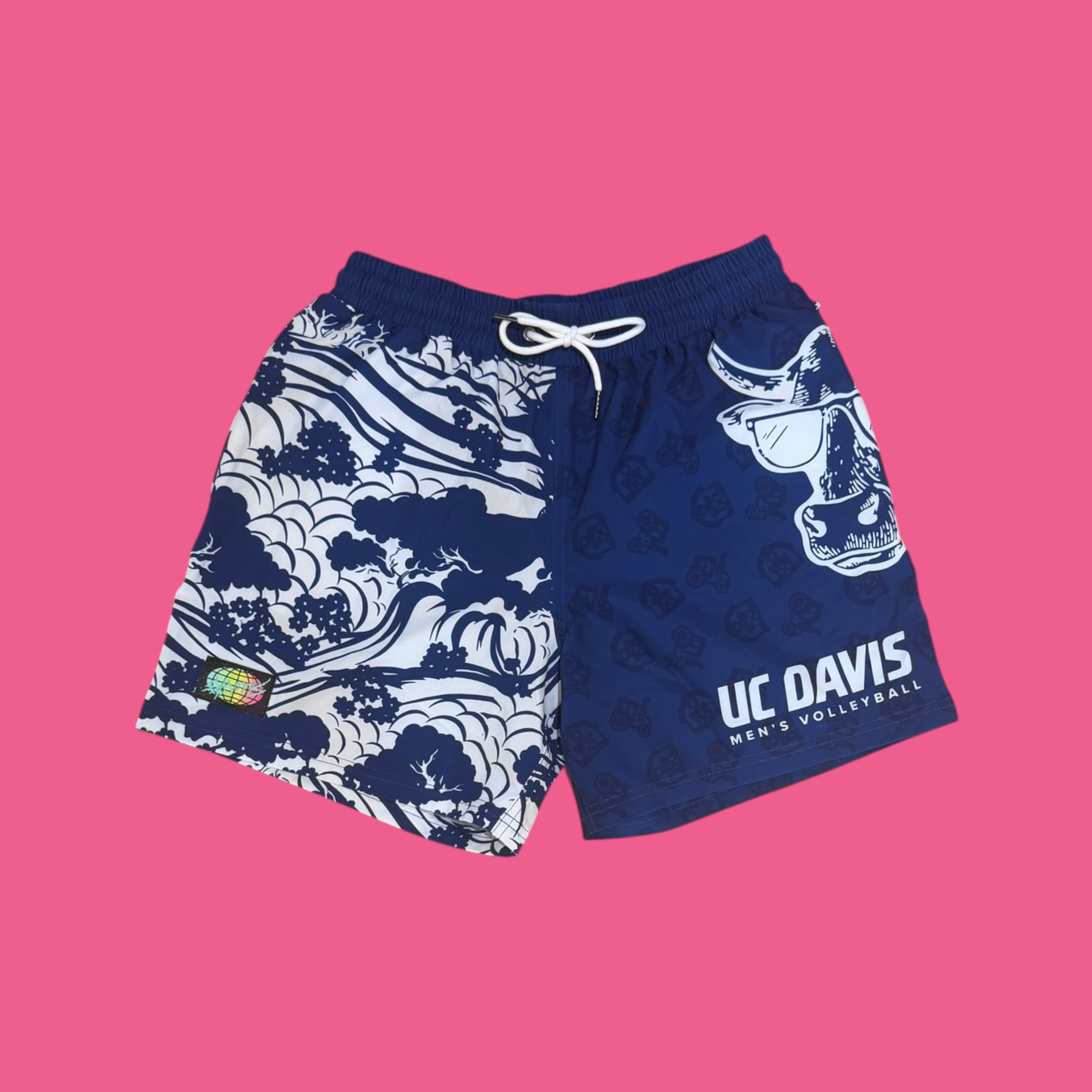 UC DAVIS V2 NAVY