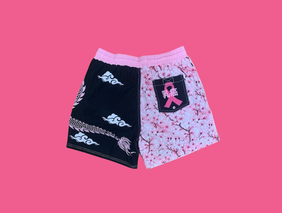 #BREAST CANCER DRAGONS