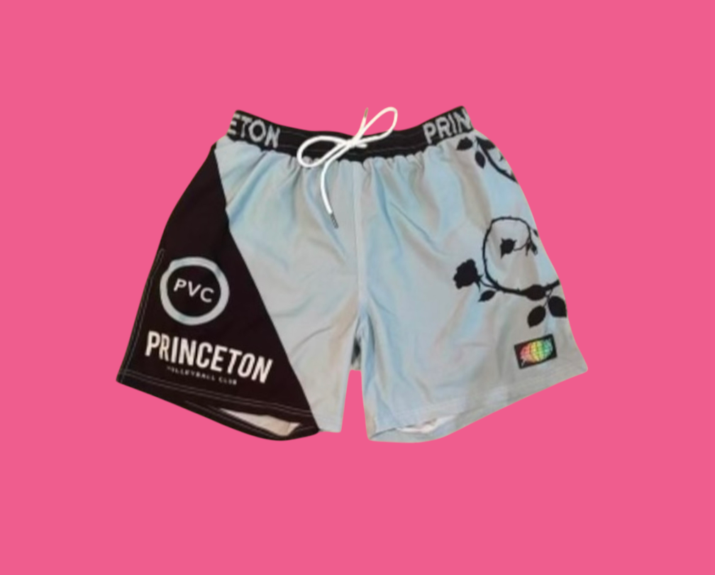 #PRINCETON PVC