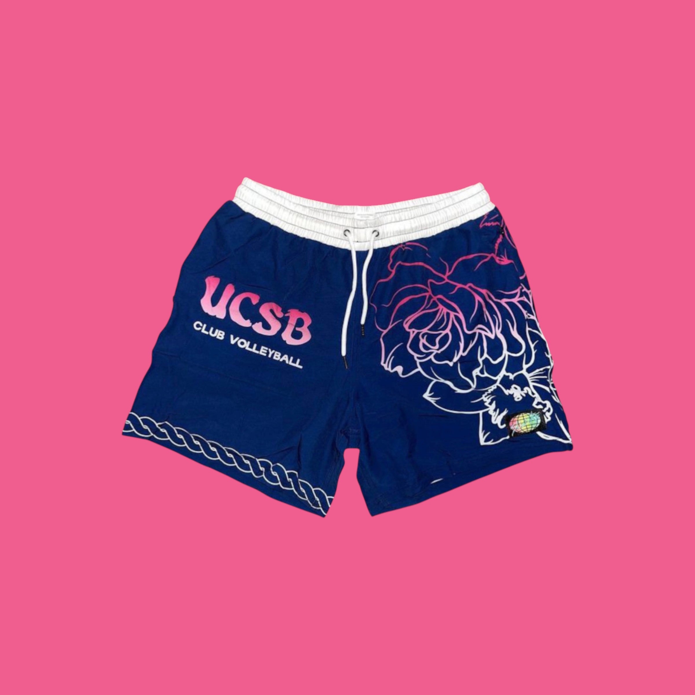 #UCSB V2